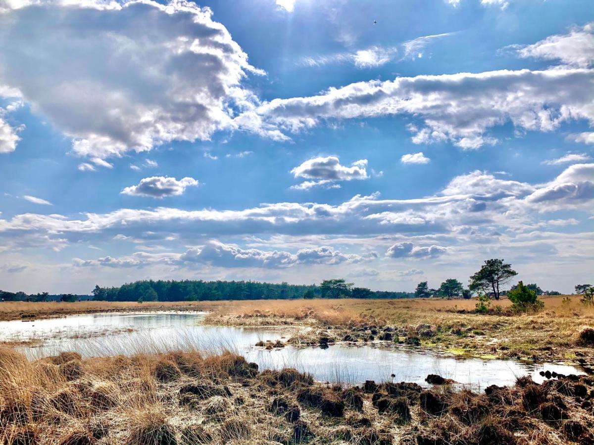 De Wollige Hooglander: In Comfort Middenin Natuur Otterlo Exteriér fotografie